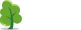 CO2-neutrale Website